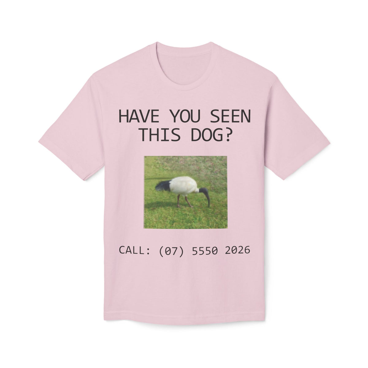 Have You Seen This Dog?