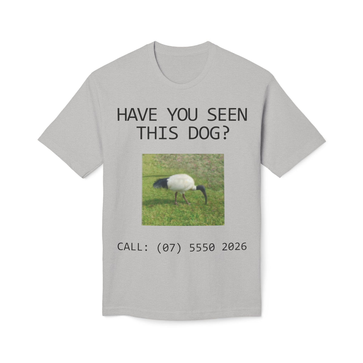 Have You Seen This Dog?