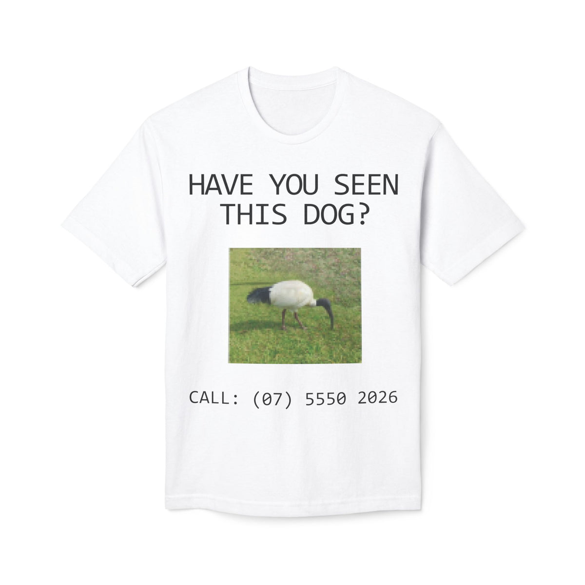 Have You Seen This Dog?