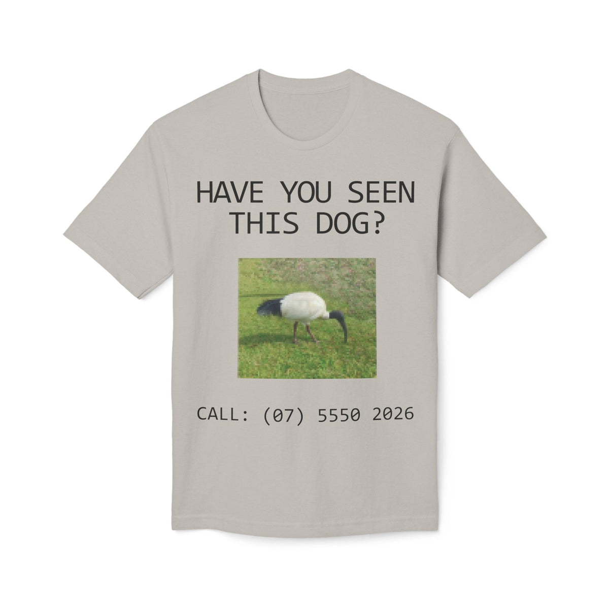 Have You Seen This Dog?