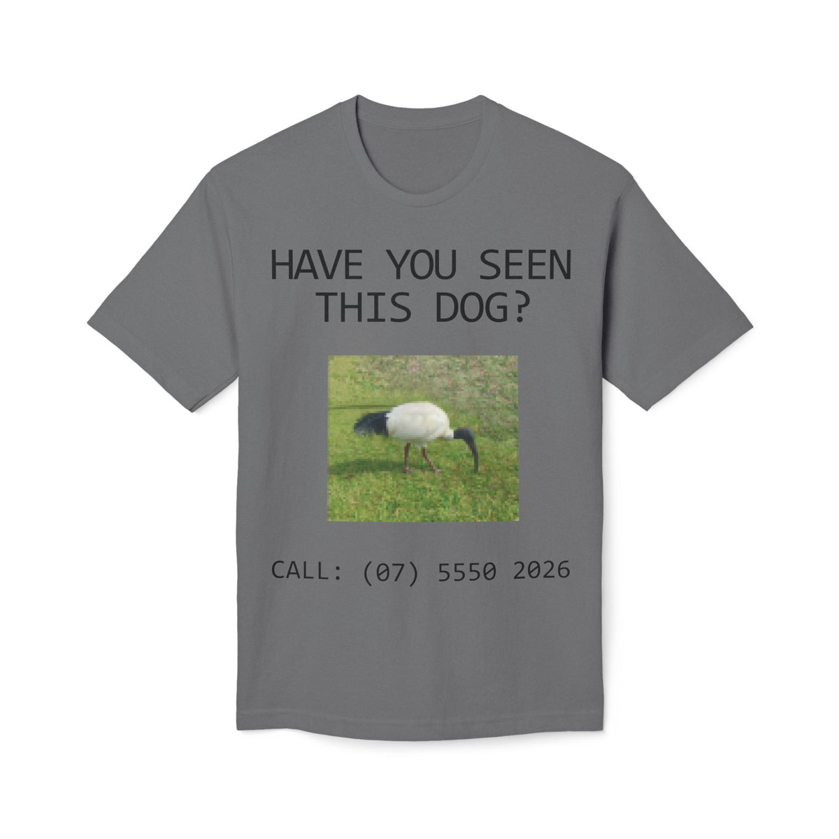 Have You Seen This Dog?